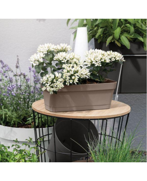 JARDINERA CLEO CLIP 30X12X10h C/BANDEJA AVANA E.12