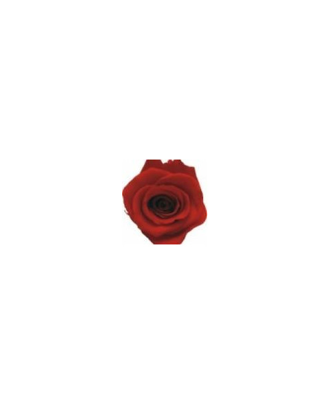 ROSA ETERNA 55CM ROJO EP